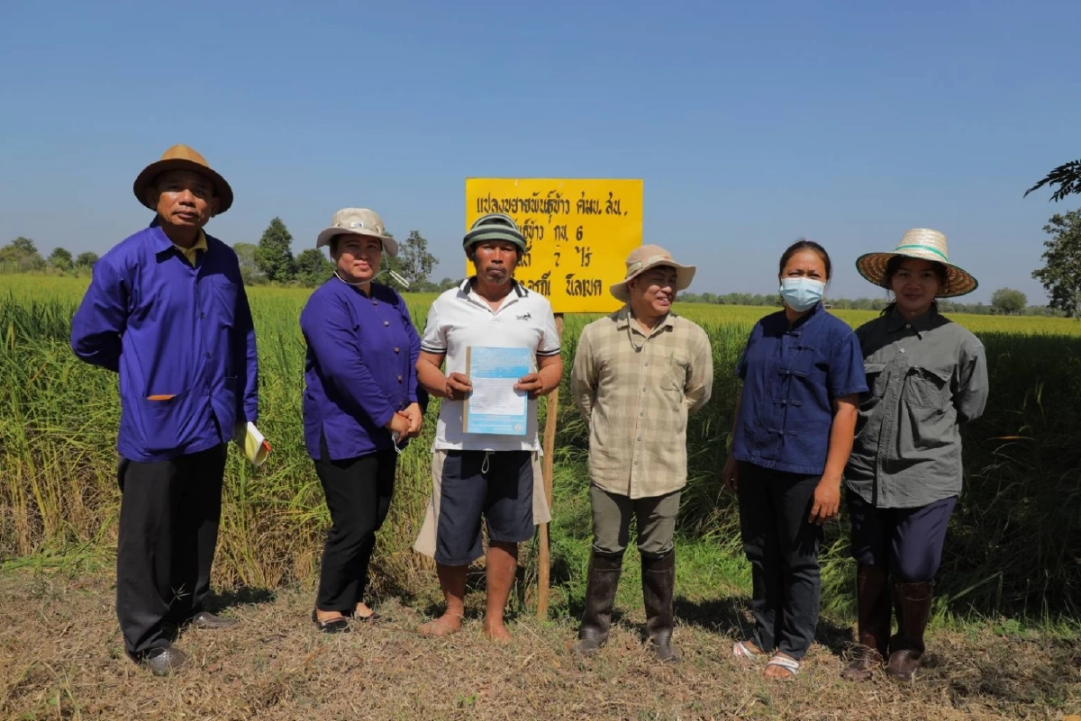  ชูความสำเร็จ “กลุ่มผู้ผลิตเมล็ดพันธุ์ข้าว ศข.ชุมชนบ้านหนองโดกสามัคคี”