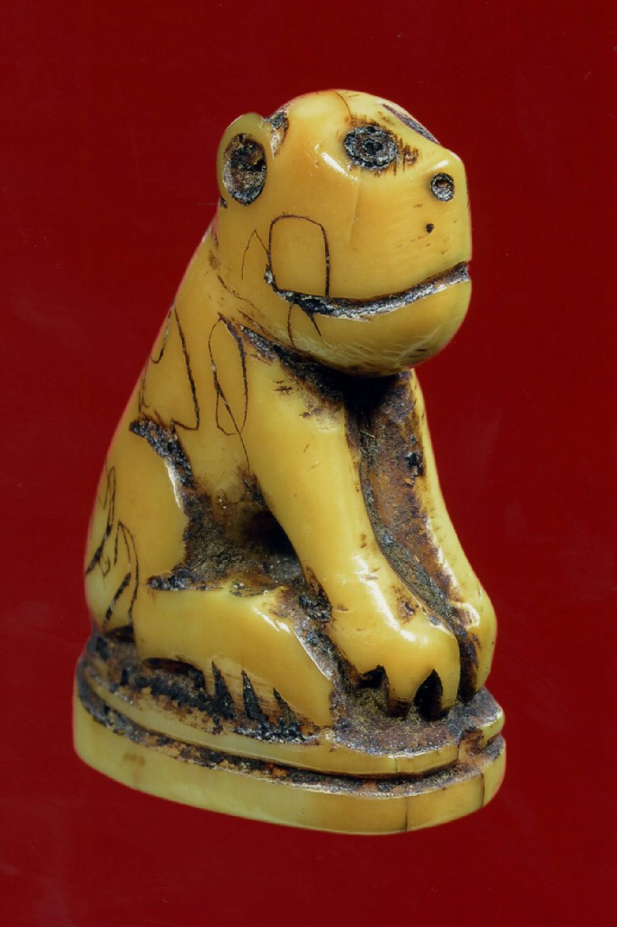  เขี้ยวเสือ หลวงพ่อปาน วัดมงคลโคธาวาสหรือ วัดบางเหี้ย คลองด่าน สมุทรปราการ