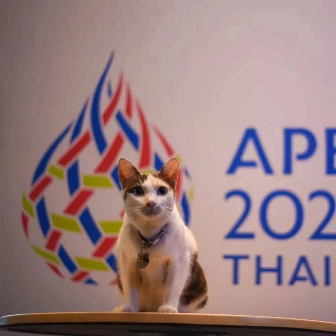 นางนวล พรีเซ็นเตอร์ประชุมเอเปค