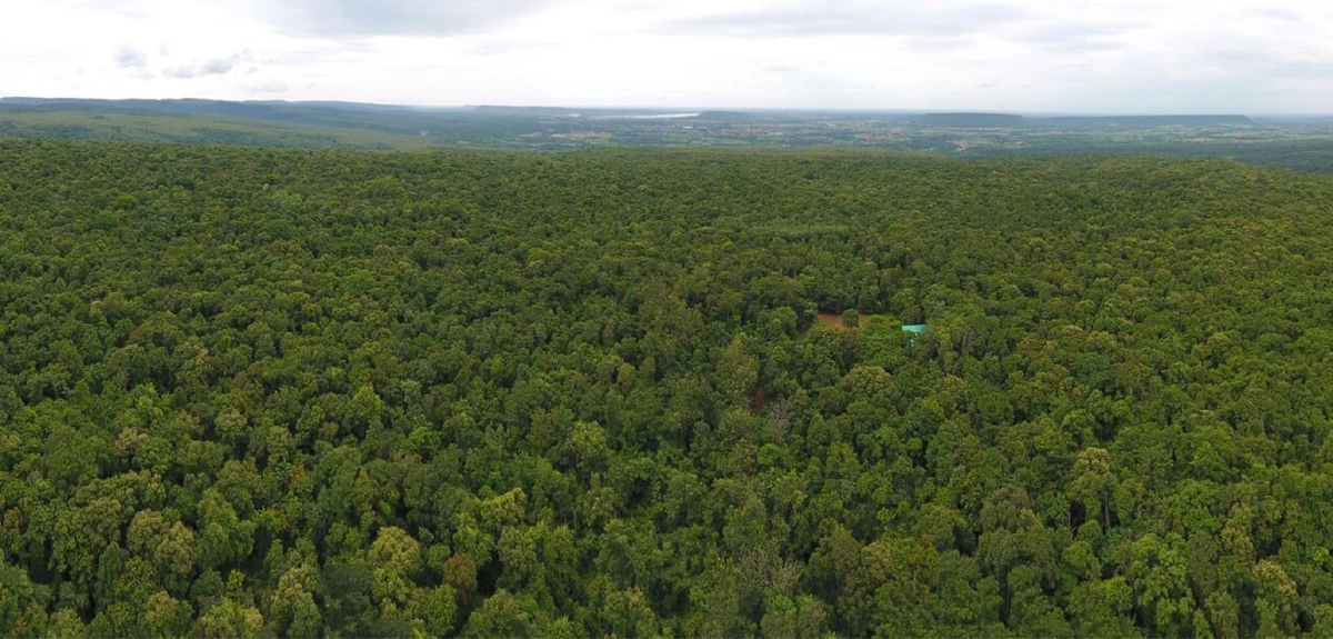 ถอดกลยุทธ์ เร่งปรับ-เร่งเปลี่ยน-เร่งปลูก ดัน ปตท. สู่องค์กร Net Zero ในปี 2050