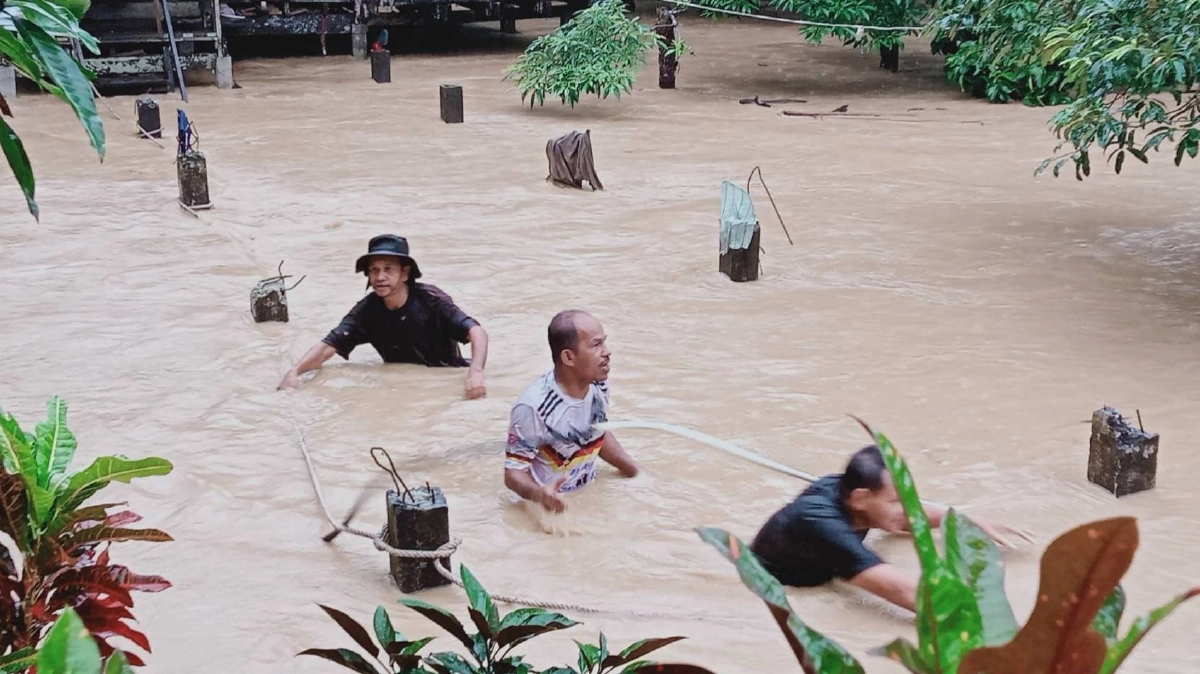  นราธิวาส ฝนตกหนักและลมแรงในพื้นที่ ส่งผลให้ระดับน้ำในลุ่มน้ำต่าง ๆ เพิ่มสูงขึ้น 