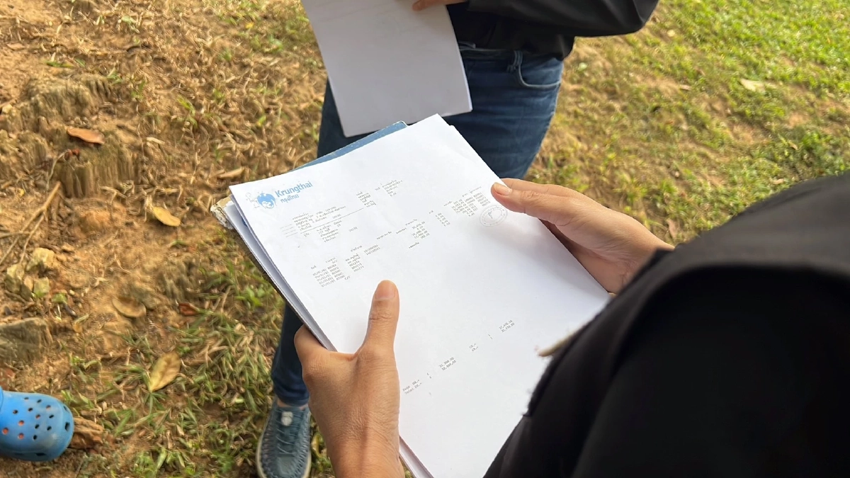 ขบวนการทุจริตลักลอบต้นไม้มีค่า-ยักยอกเงิน