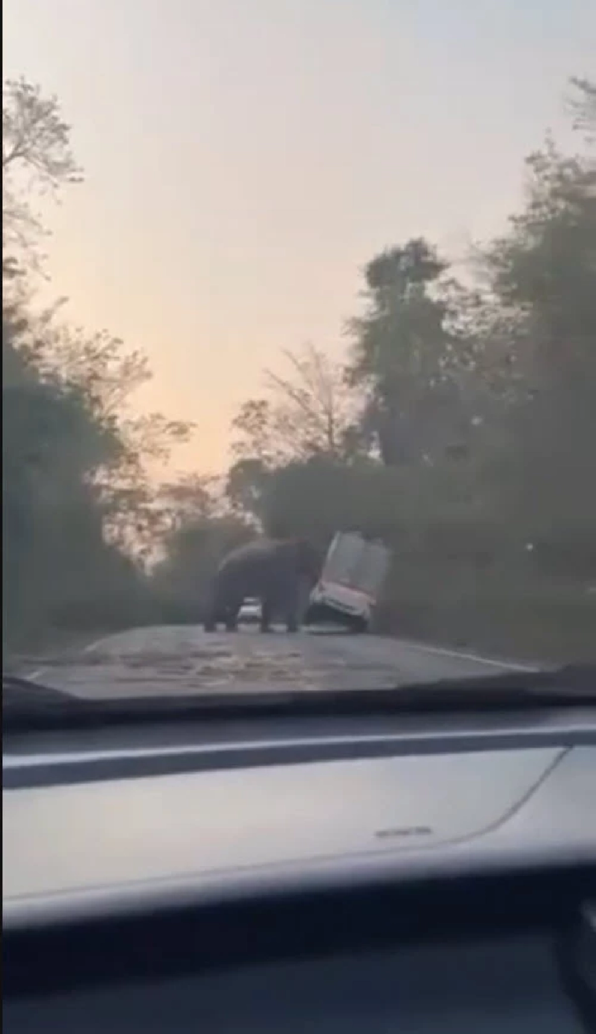 ช้างป่าเขาอ่างฤาไน ดันรถกระบะตู้ทึบตกข้างทางรีบกลับรถหนีแทบไม่ทัน