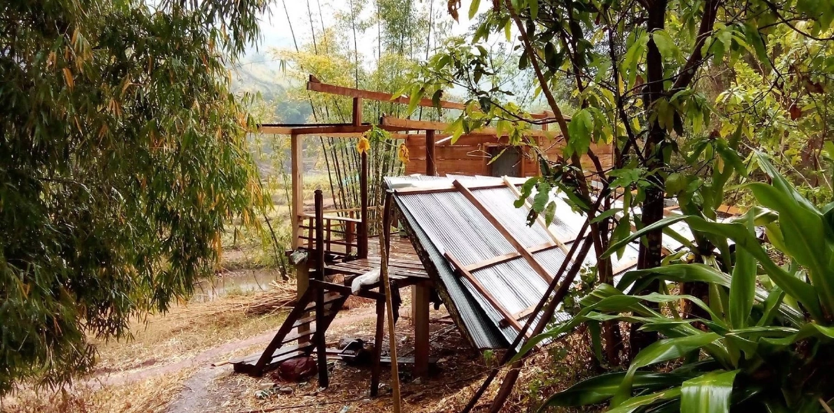 พายุฤดูร้อน