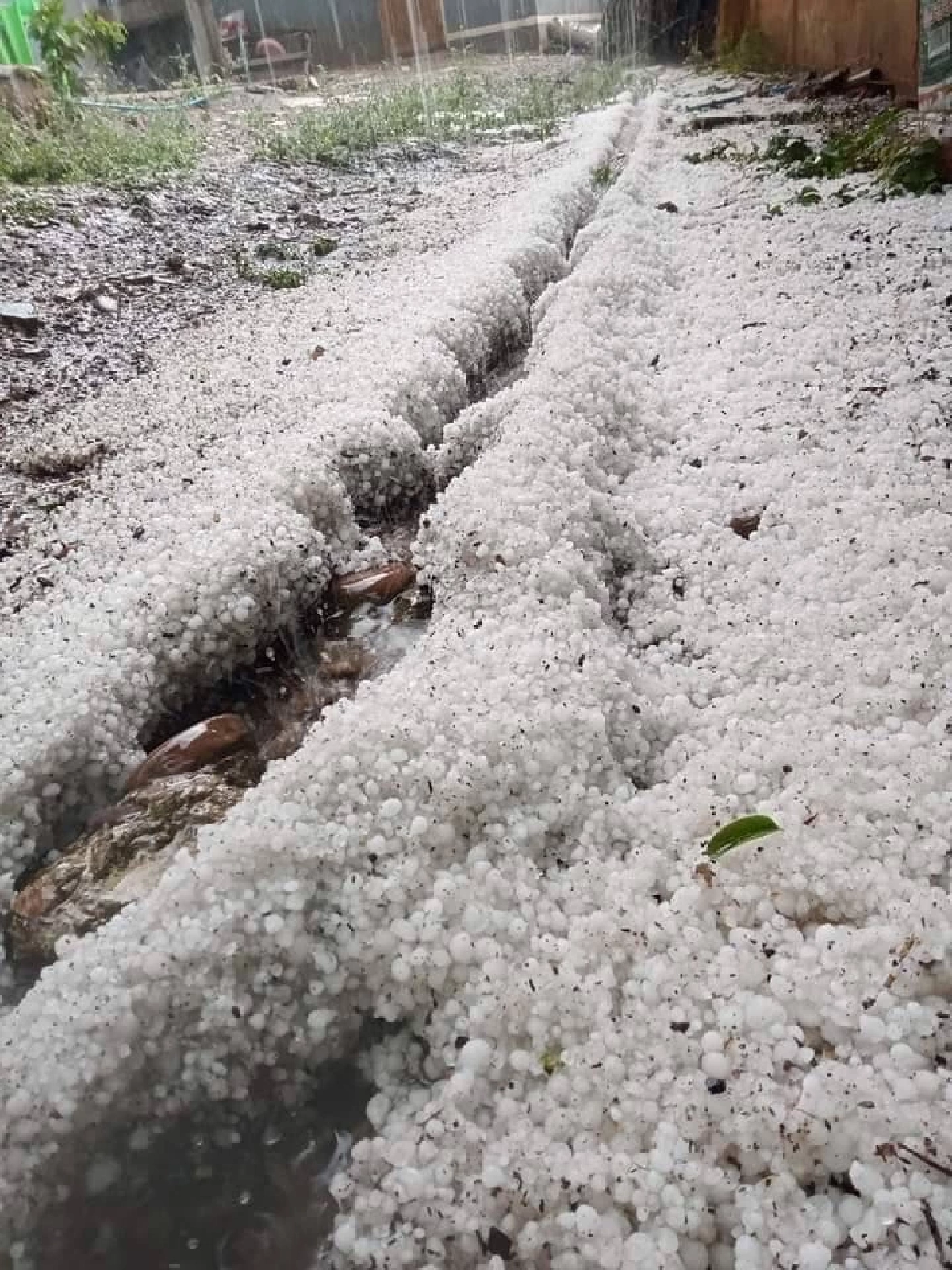 ลูกเห็บตก