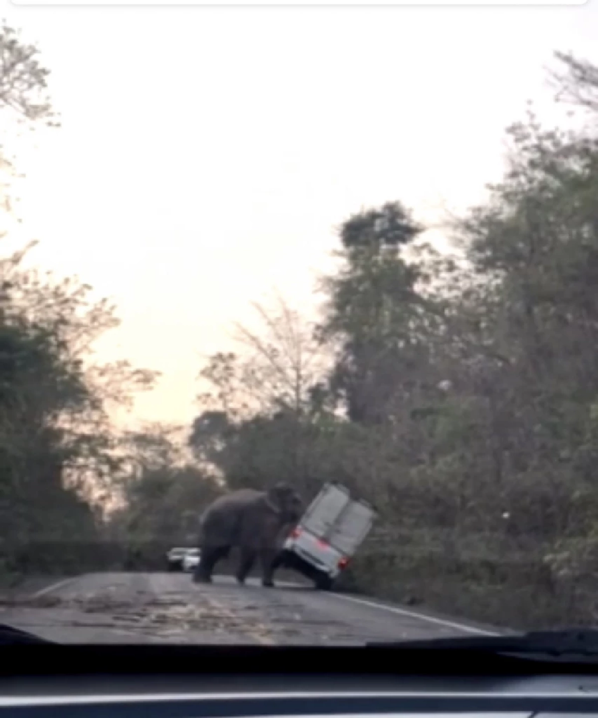 ช้างป่าเขาอ่างฤาไน ดันรถกระบะตู้ทึบตกข้างทางรีบกลับรถหนีแทบไม่ทัน