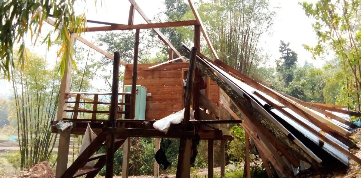 พายุฤดูร้อน