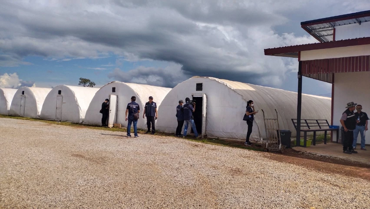 ตร.ไซเบอร์ แจงคดีหลอกลงทุน Turtle Farm เหยื่อเสียหายกว่า 2,000 ล้านบาท