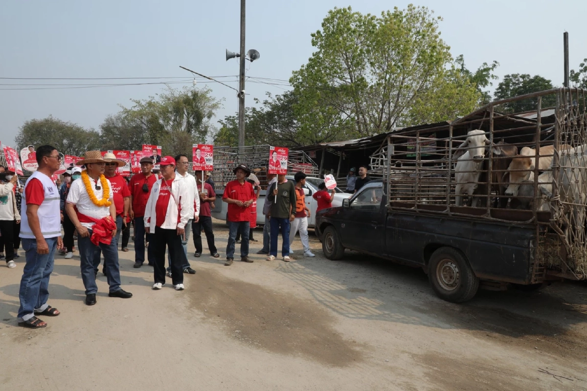 นายสมศักดิ์ เทพสุทิน ผลักดันวัวขายออกต่างประเทศ