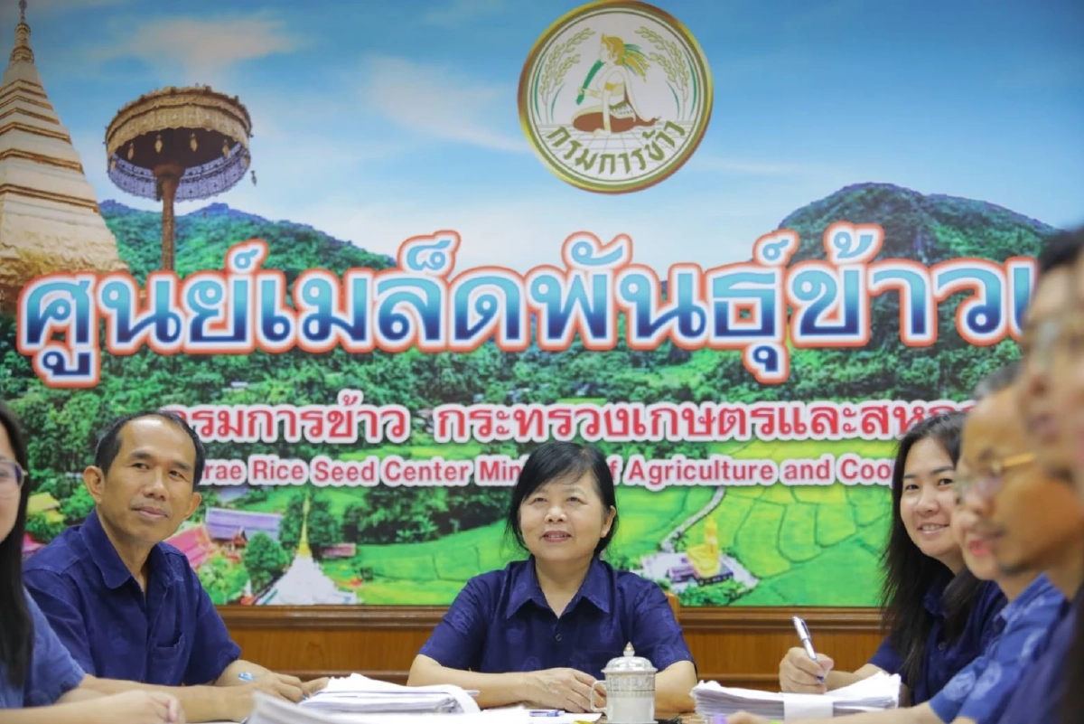 'เปลี่ยนเมล็ดพันธุ์ข้าว' ให้ชาวนาได้ใช้เมล็ดข้าวพันธุ์ดีมีคุณภาพ