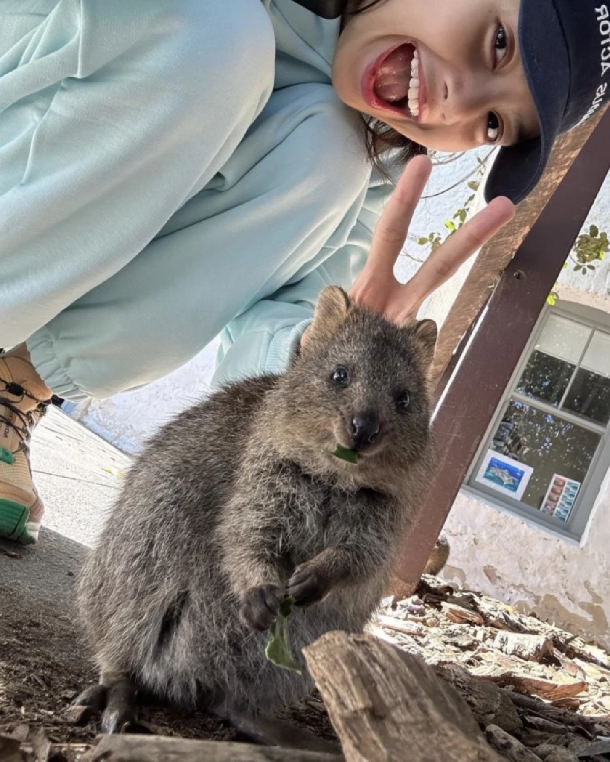 "ลิซ่า BLACKPINK"