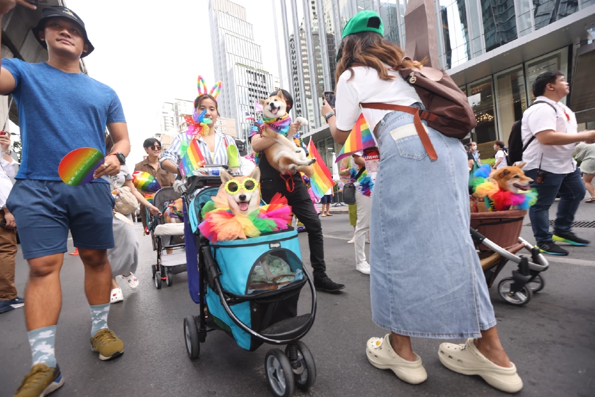 เปิดภาพชุดงาน 'ไพรด์พาเหรด' ส่งท้ายเดือนแห่งชาวสีรุ้งสวยงาม