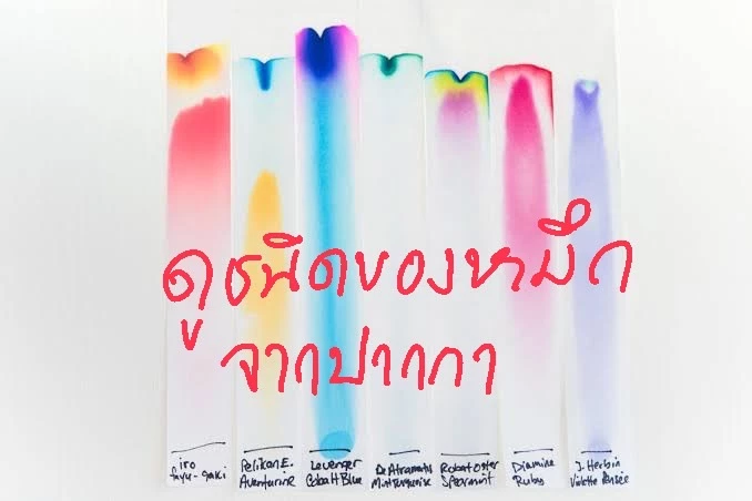 ตัวอย่างตรวจสอบยน้ำหมึก