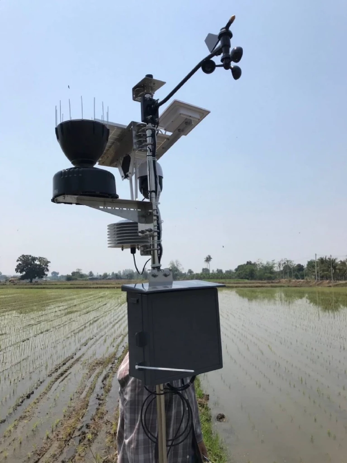 กรมการข้าว หนุนเกษตรกรใช้เทคโนโลยีลดต้นทุน