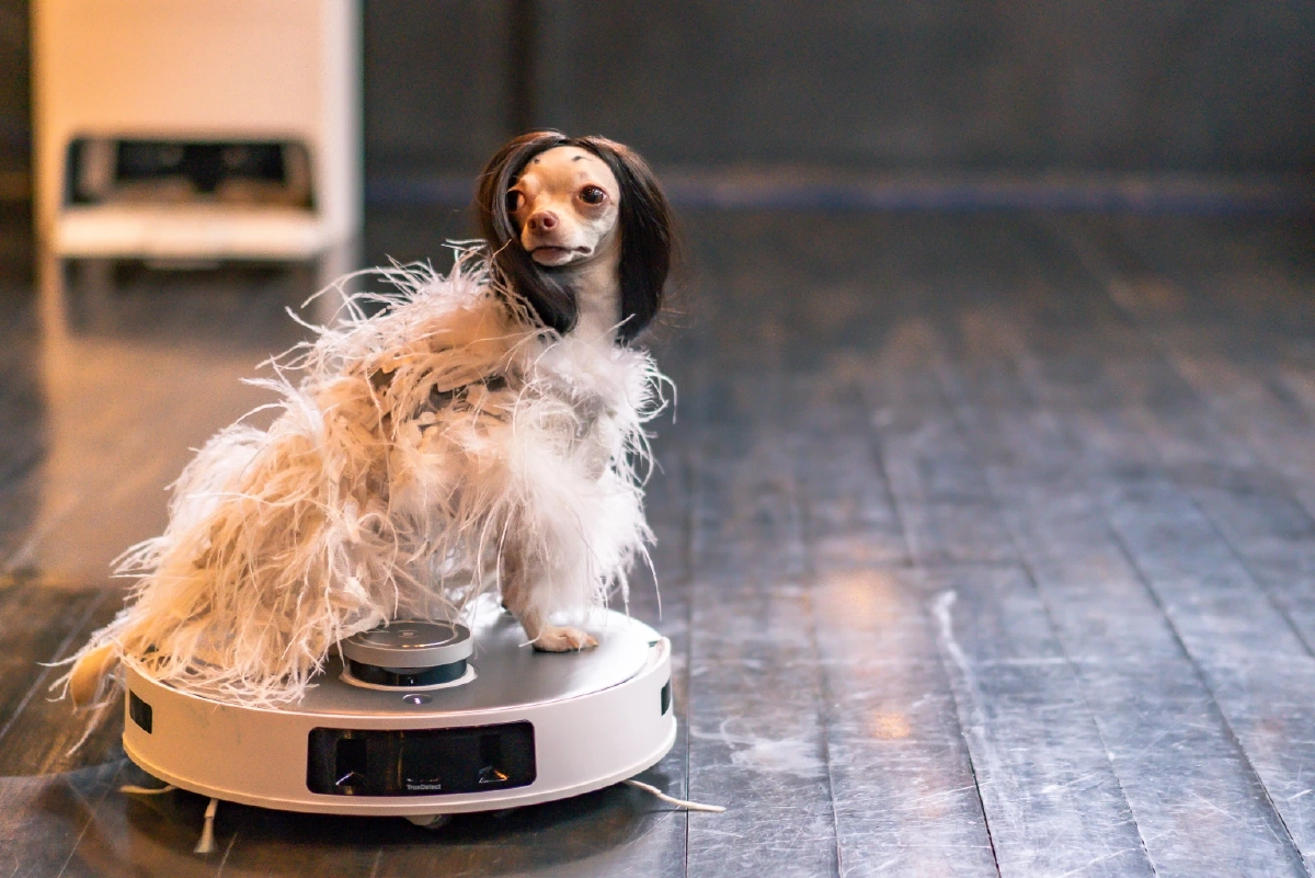 ECOVACS เปิดตัว DEEBOT T20 OMNI หุ่นยนต์ดูดฝุ่นอัจฉริยะรุ่นใหม่ล่าสุด