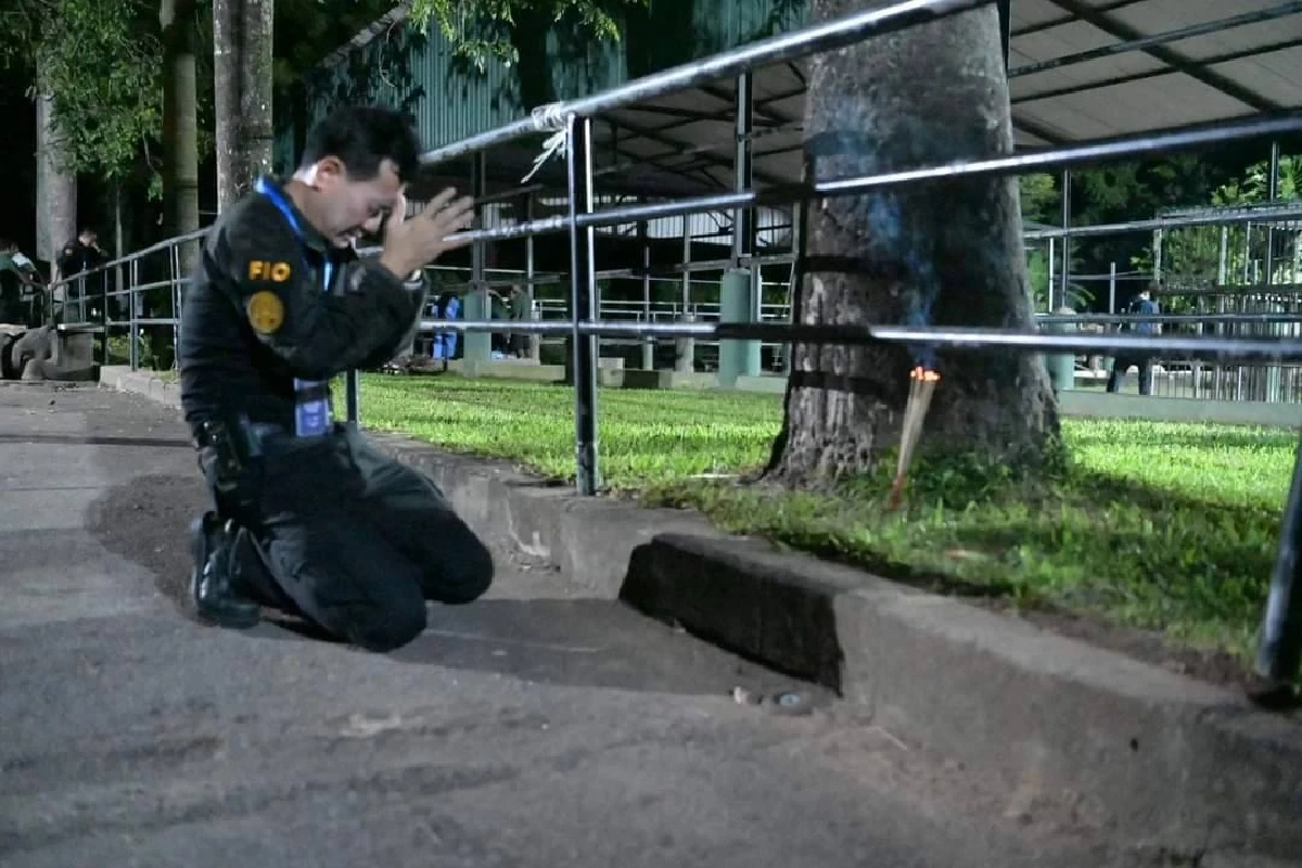 รวมภาพ 'พลายศักดิ์สุรินทร์' กลับไทย ภารกิจนำช้างไทยกลับบ้าน