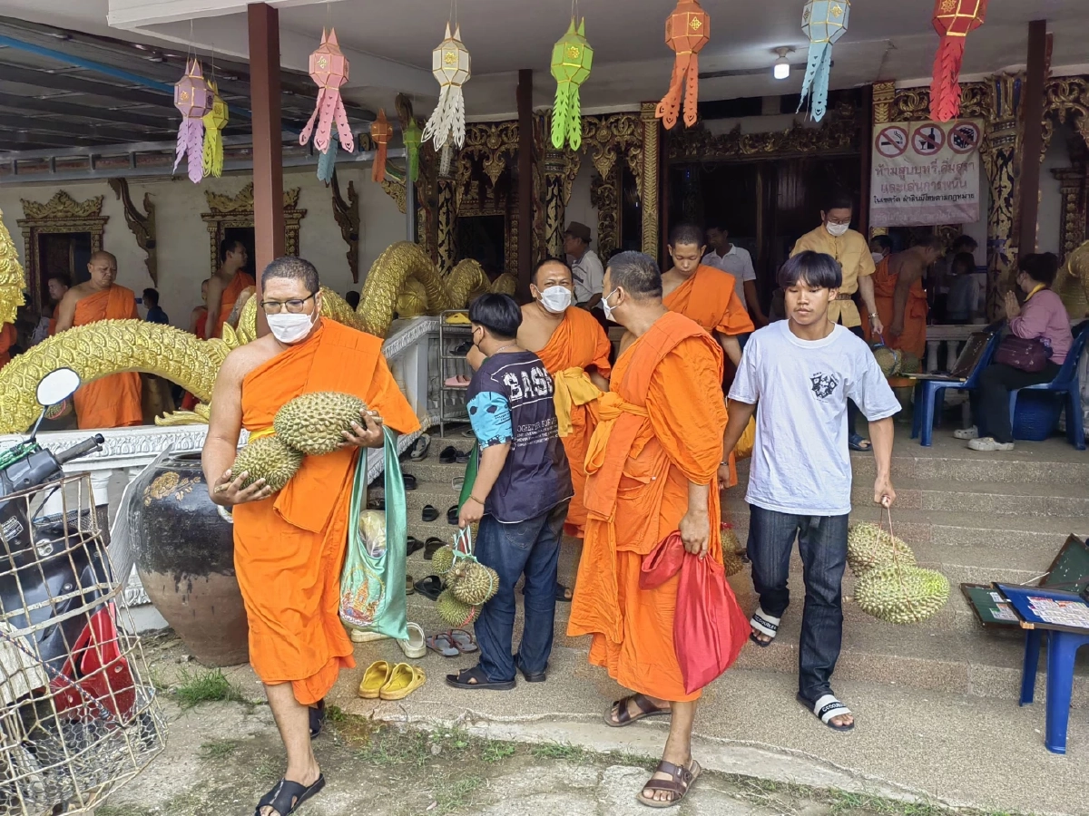 ประเพณีขนทุเรียนเข้าวัด สลากภัตทุเรียนลับแล จ.อุตรดิตถ์