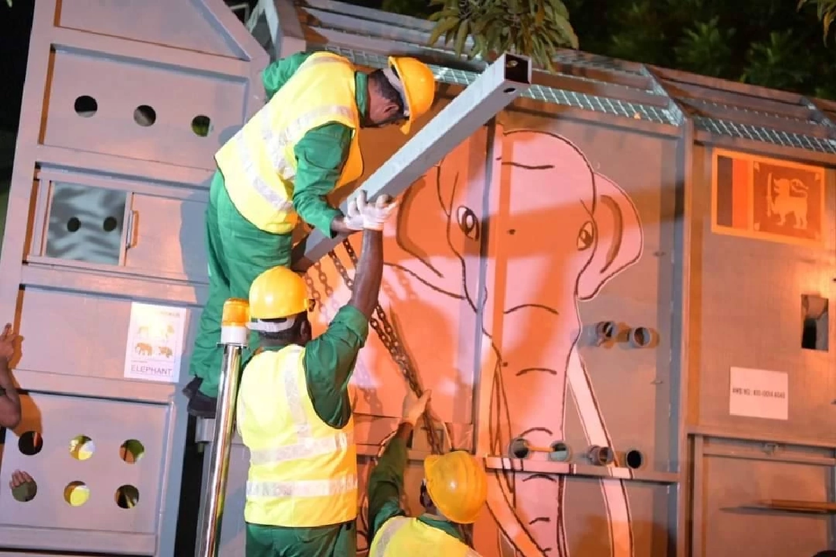 รวมภาพ 'พลายศักดิ์สุรินทร์' กลับไทย ภารกิจนำช้างไทยกลับบ้าน