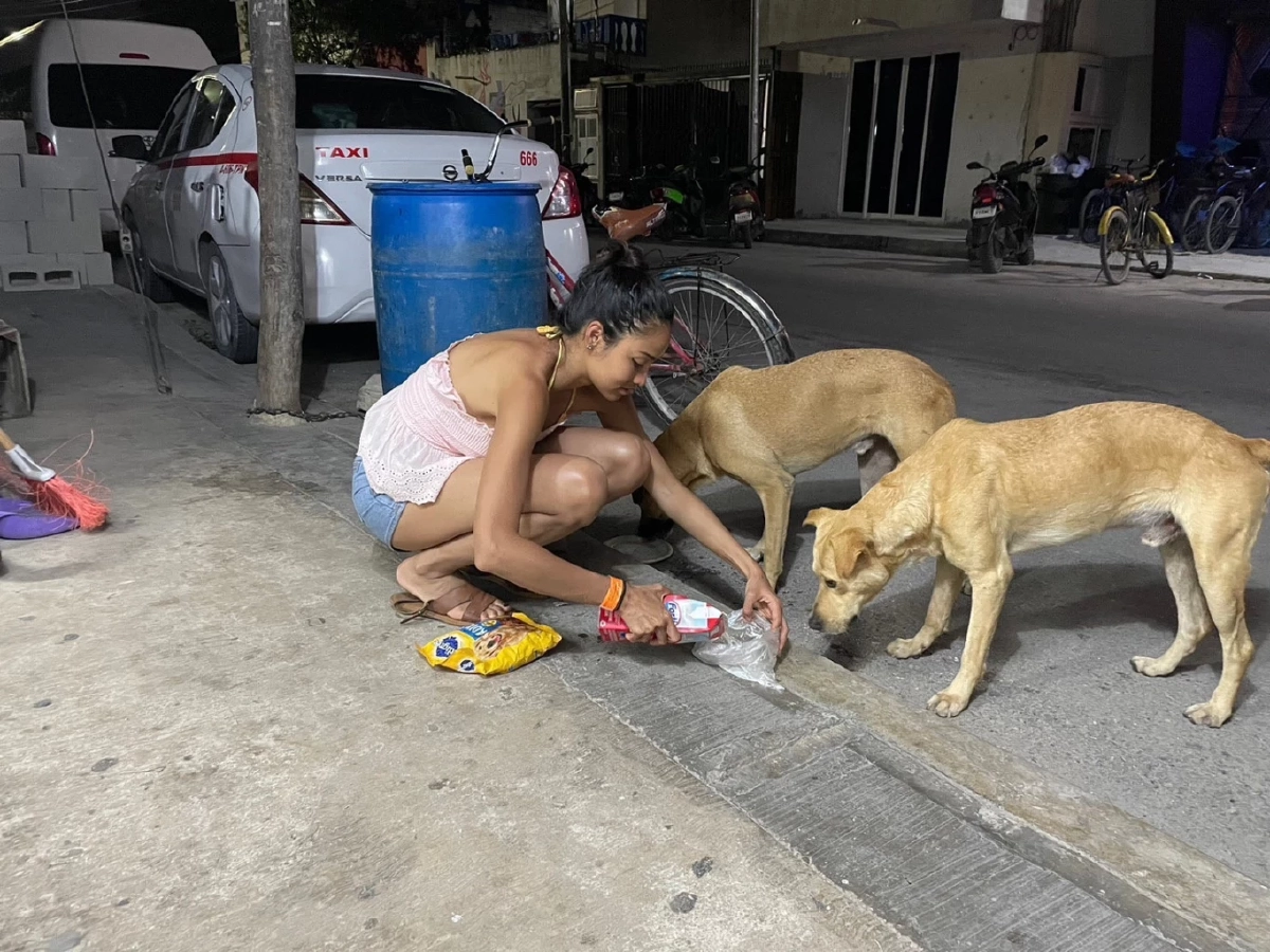 "กรองทอง จันทรสมโภช"