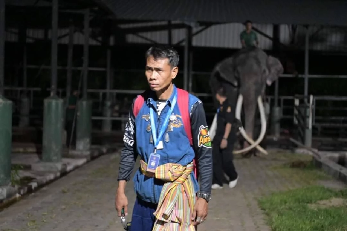 รวมภาพ 'พลายศักดิ์สุรินทร์' กลับไทย ภารกิจนำช้างไทยกลับบ้าน