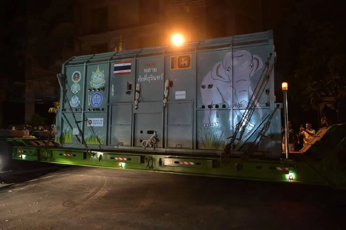 รวมภาพ 'พลายศักดิ์สุรินทร์' กลับไทย ภารกิจนำช้างไทยกลับบ้าน