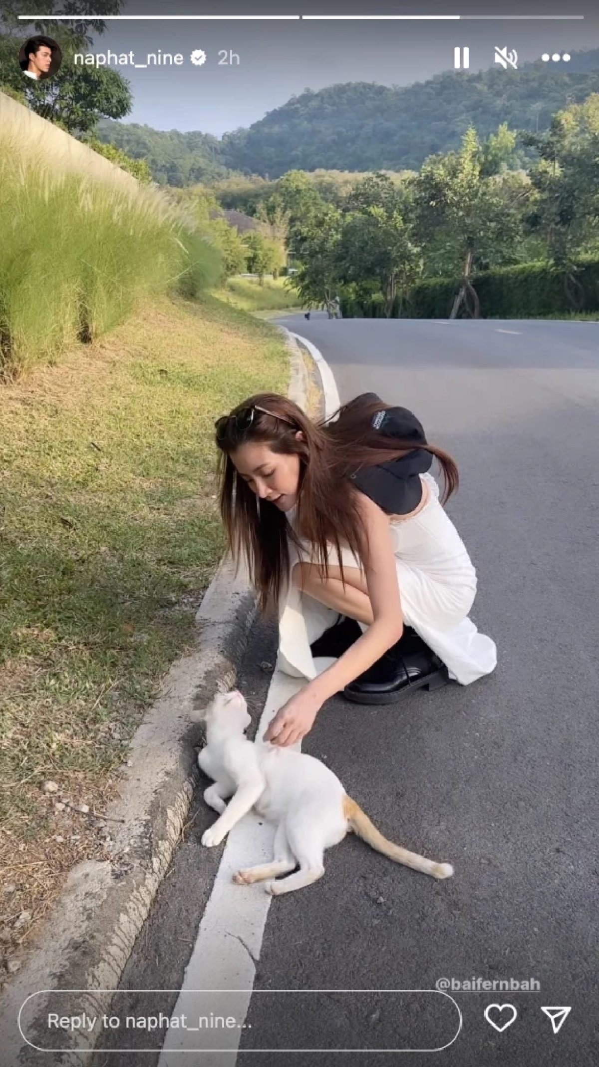 รวมความหวานฉ่ำ 'นาย-ใบเฟิร์น' ทริปล่าสุด หลุดเรียกที่รัก นึกว่าพรีเวดดิ้ง