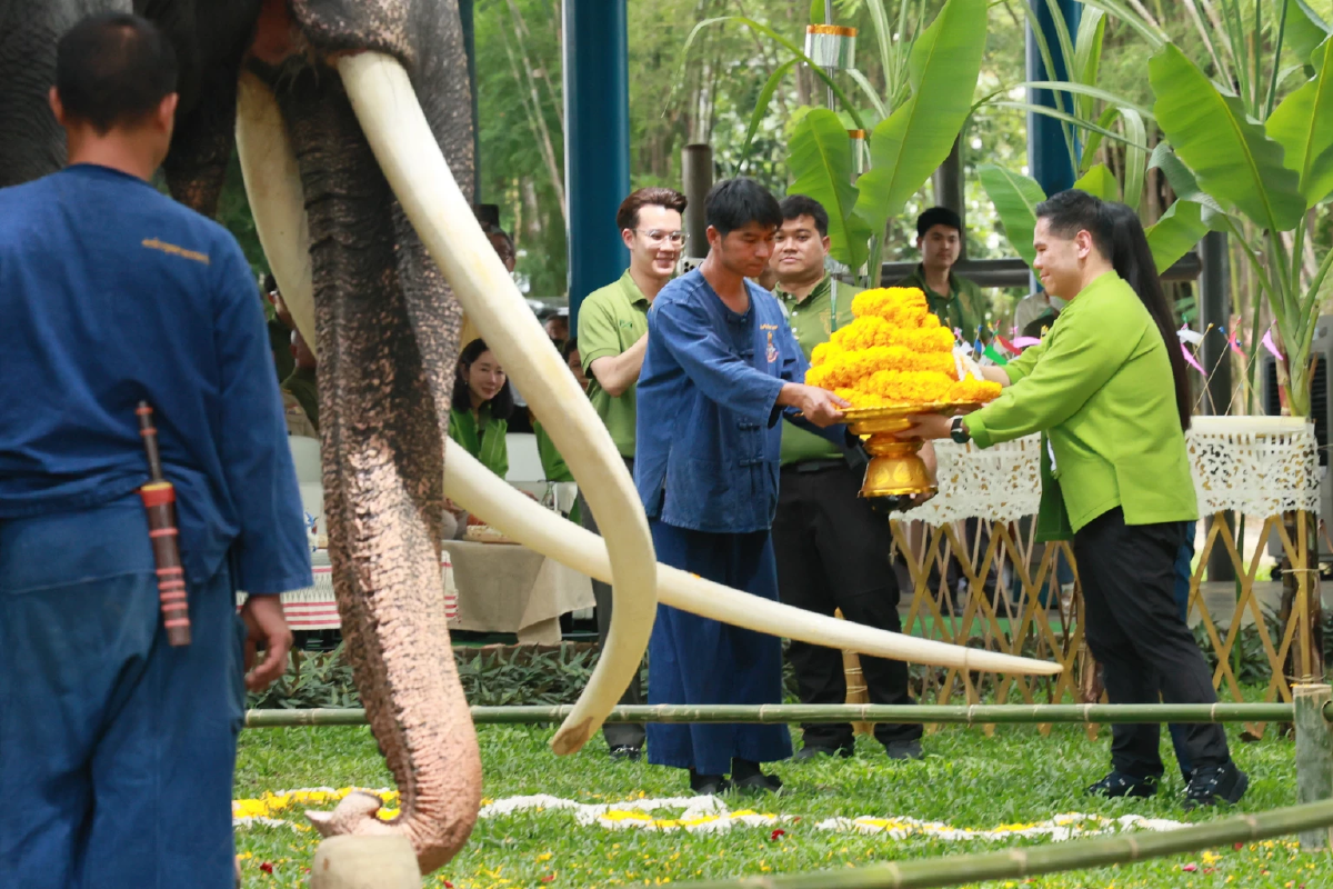 สะกดสายตา เปิดภาพชุดพ่อ \'พลายศักดิ์สุรินทร์\' ในพิธีฮ้องขวัญ