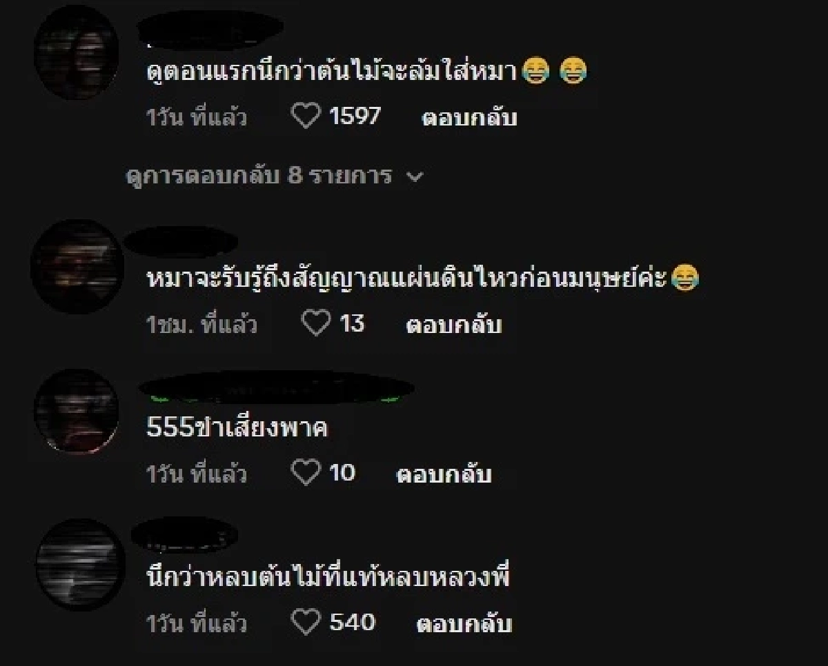 นั่งให้กำลังใจหลวงพี่อยู่ใกล้ๆ แต่เหมือนน้องมีเซนส์ (คลิป)