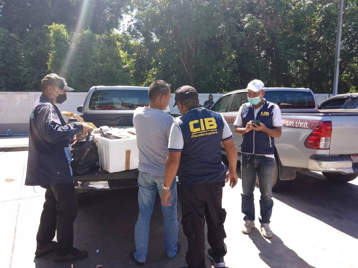 ลอยค้าซากสัตว์ป่าคุ้มครอง