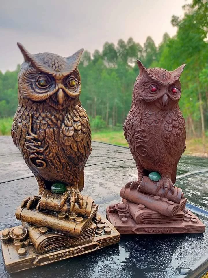 พญานกถึดทือ 