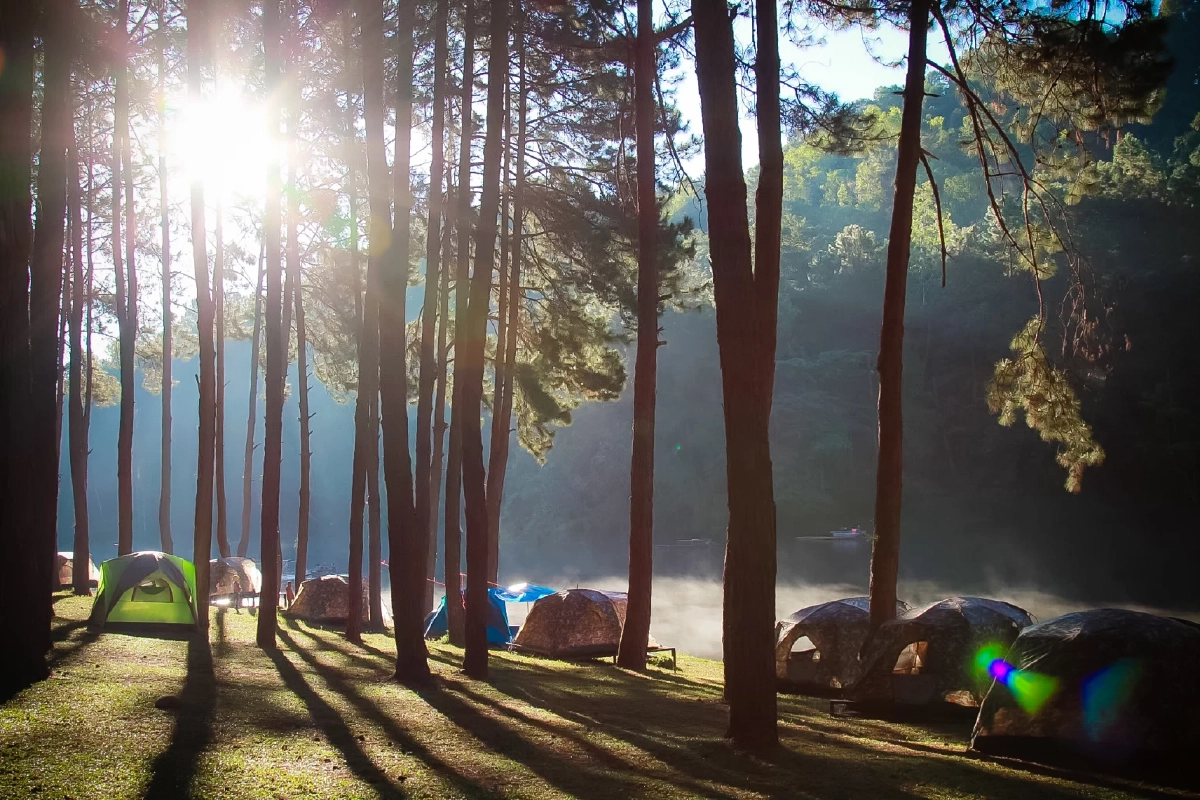 หนาวนี้ปักหมุดกางเต็นท์ที่ ปางอุ๋ง สัมผัสบรรยากาศสุดฟินท่ามกลางไอหมอก 