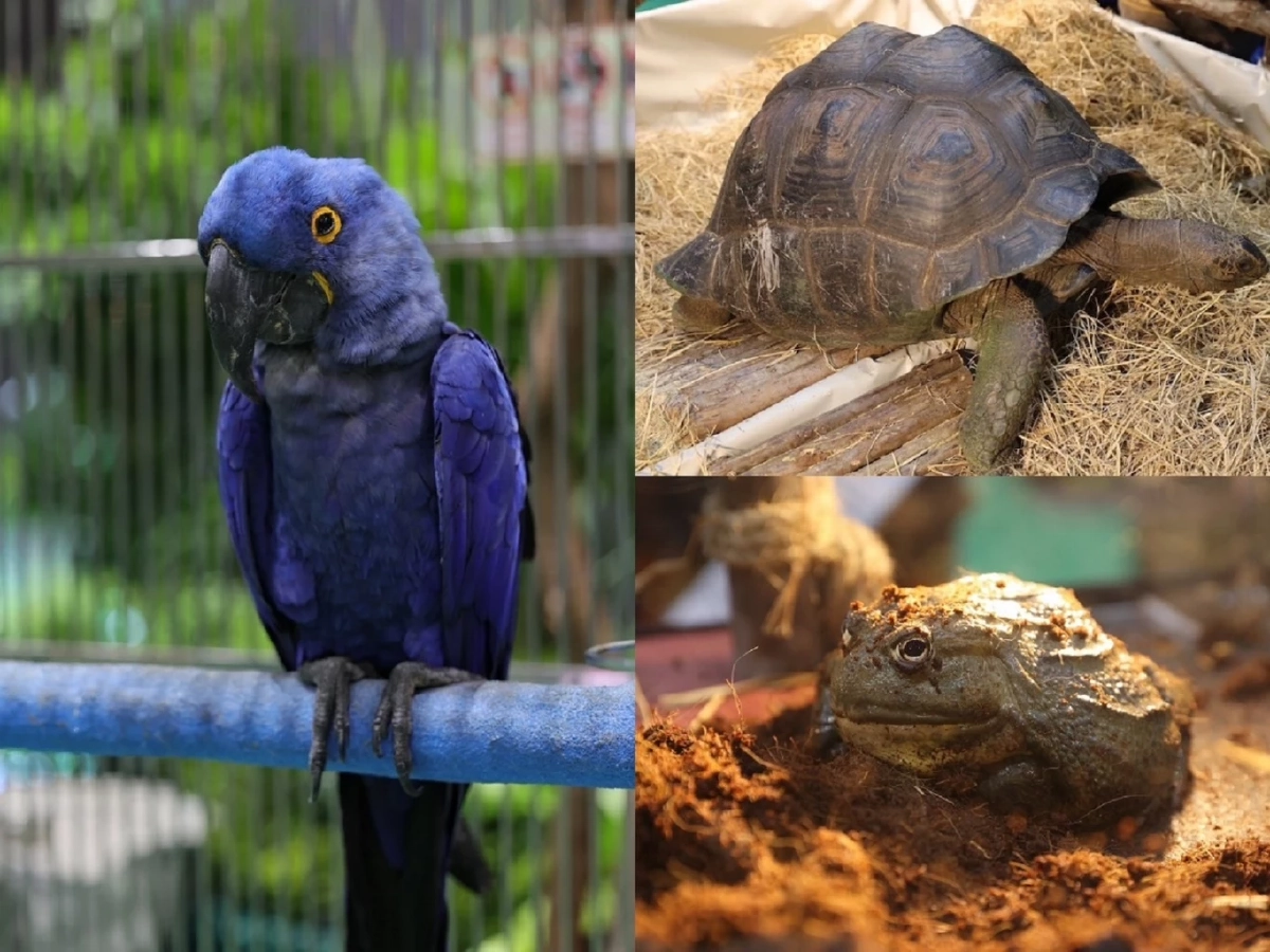 เดอะมอลล์ ชวนท่องโลกมหัศจรรย์ แดนสัตว์ป่าพิศวง ต้อนรับปิดเทอม