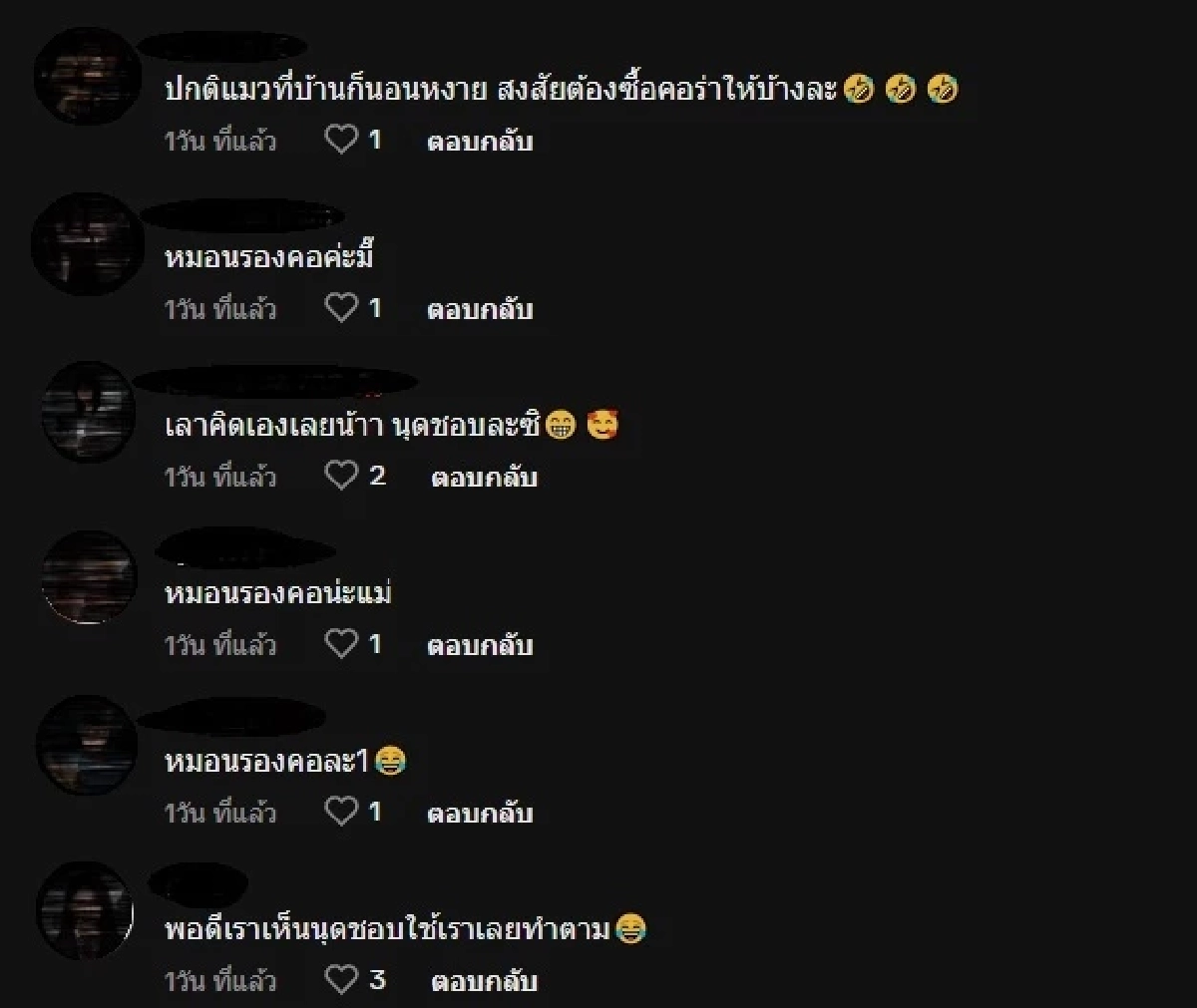 (คลิป) โคตรชิลล์ นี่สินะวิธีใช้คอลลาร์แมวที่ถูกต้อง