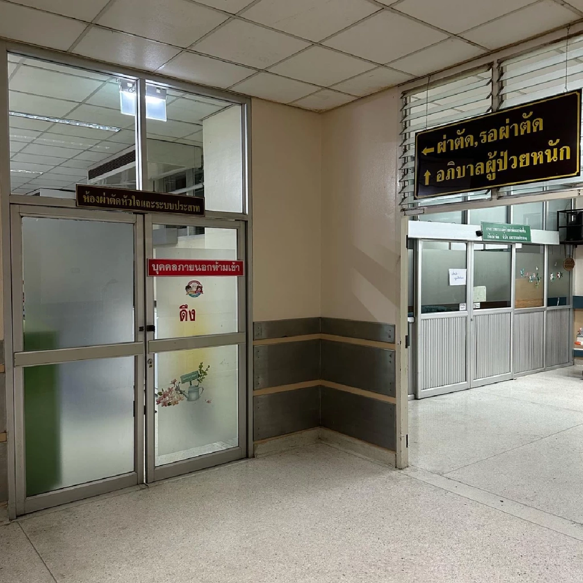 สู้สุด สลบไป 2 วัน ‘คุณหญิงแมงมุม’ ผ่าตัดด่วน หลอดเลือดเเดงใหญ่หัวใจฉีกขาด