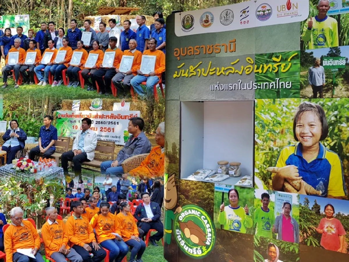 งานวันเก็บเกี่ยว4