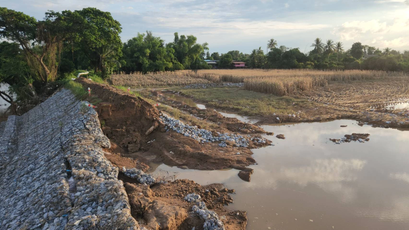 สะพานสิริปัญญารัตน์