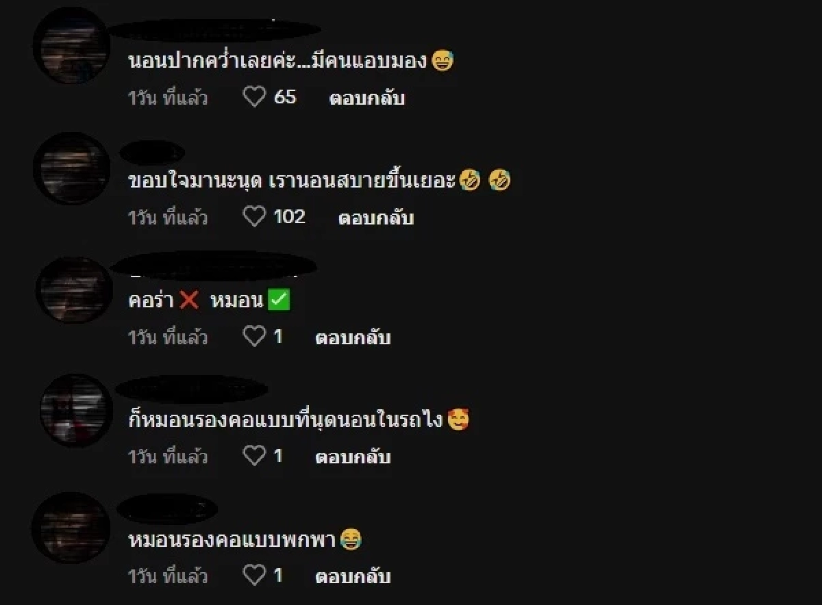 (คลิป) โคตรชิลล์ นี่สินะวิธีใช้คอลลาร์แมวที่ถูกต้อง