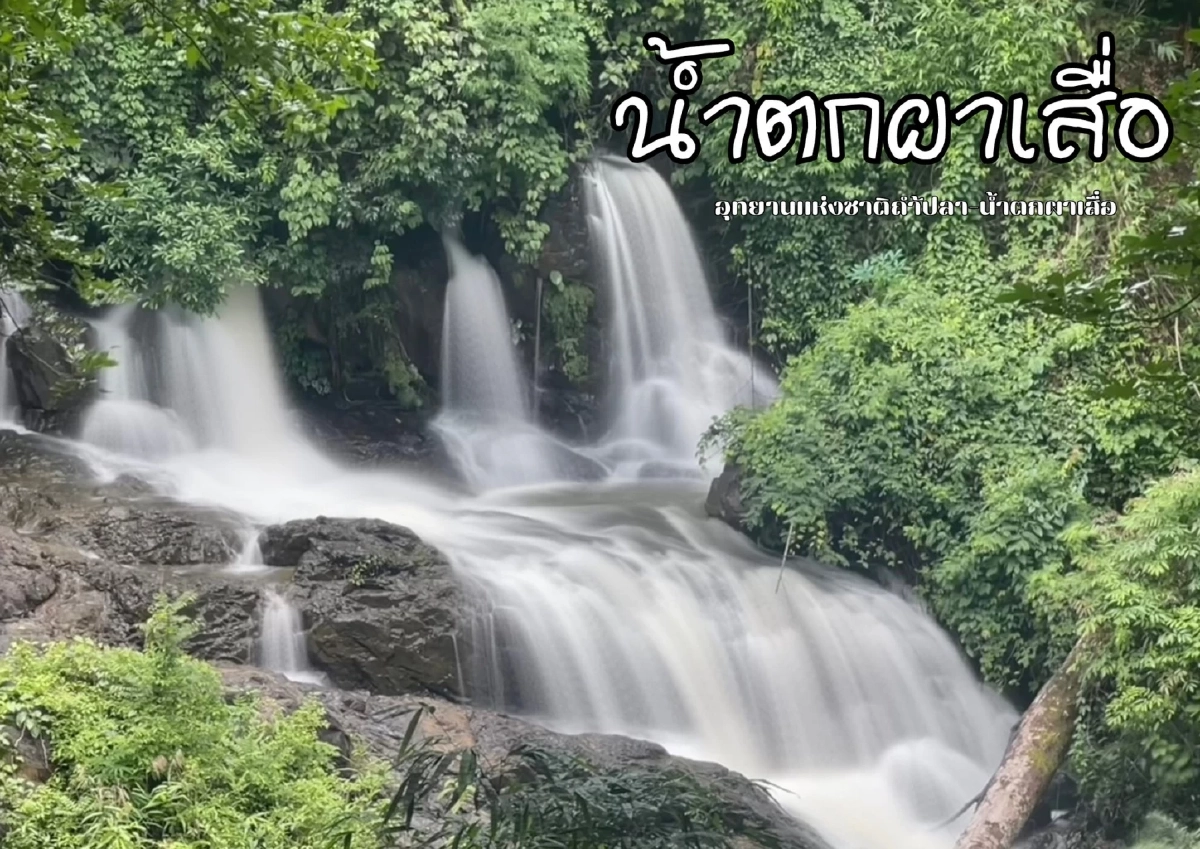 หนาวนี้ปักหมุดกางเต็นท์ที่ ปางอุ๋ง สัมผัสบรรยากาศสุดฟินท่ามกลางไอหมอก 