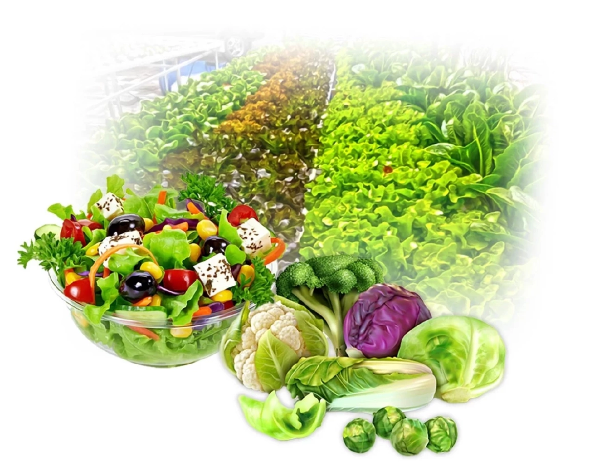 สารป้องกันกำจัดแมลง 'นีมโร ดีโอเอ' เพิ่มผลผลิต เป็นมิตรสิ่งแวดล้อม