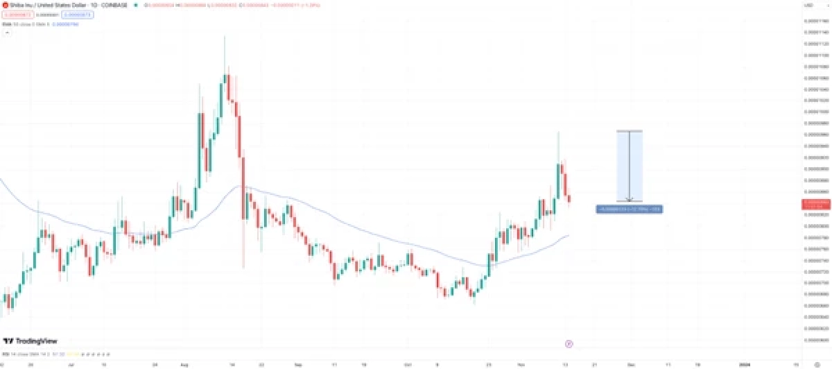 Sponge Token
