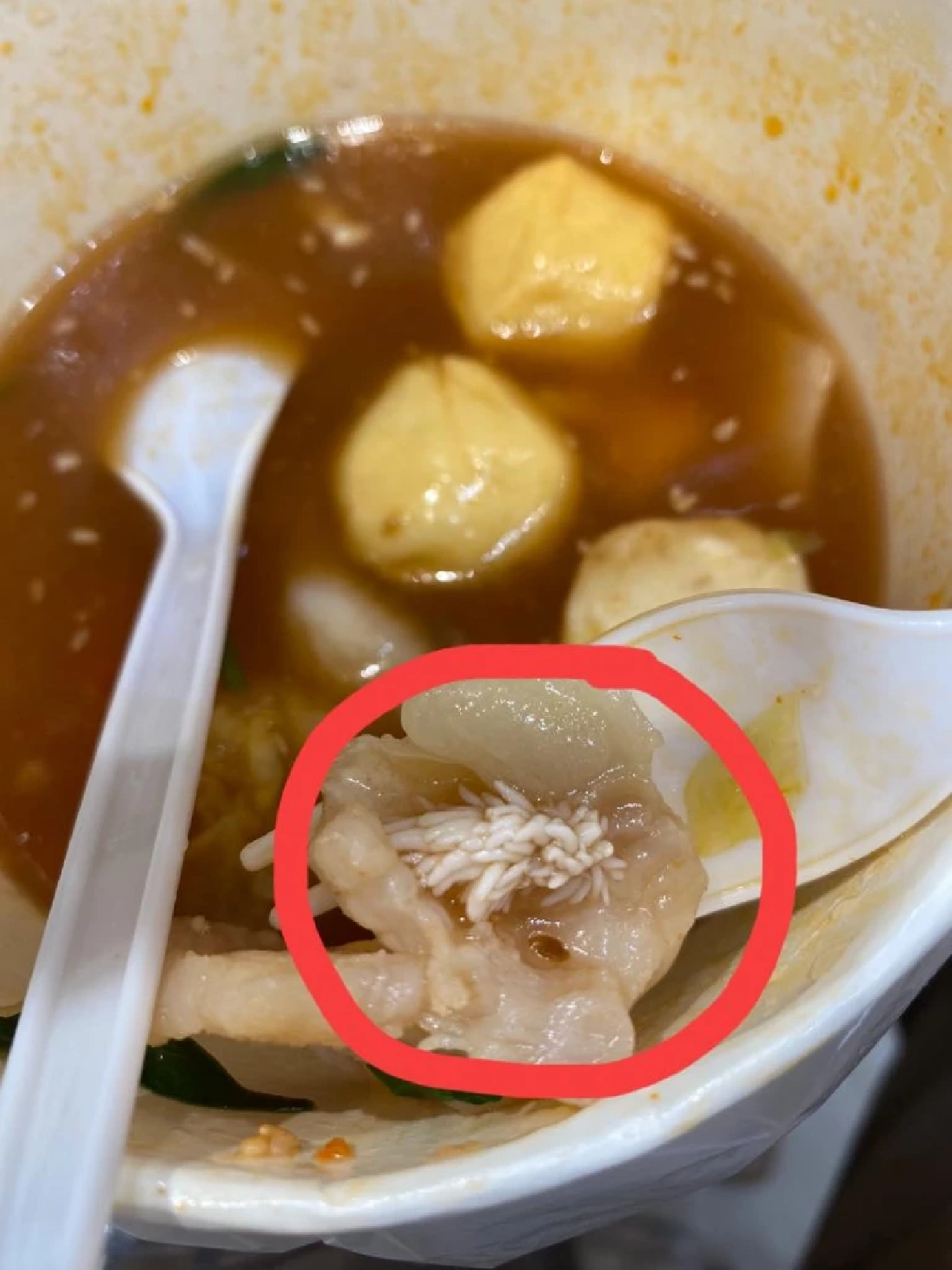 ปลา