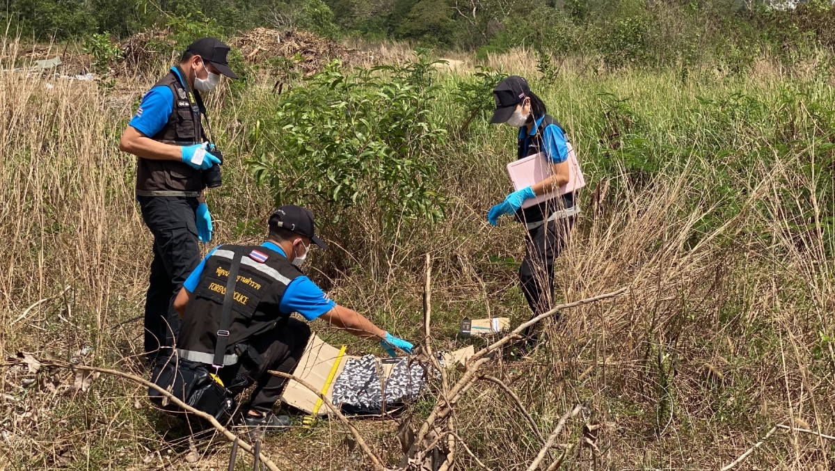 เจ้าหน้าที่เข้าเก็บหลักฐาน ล่าไอ้หื่น ลากนักท่องเที่ยวสาวจีนเข้าป่า หมายข่มขืน