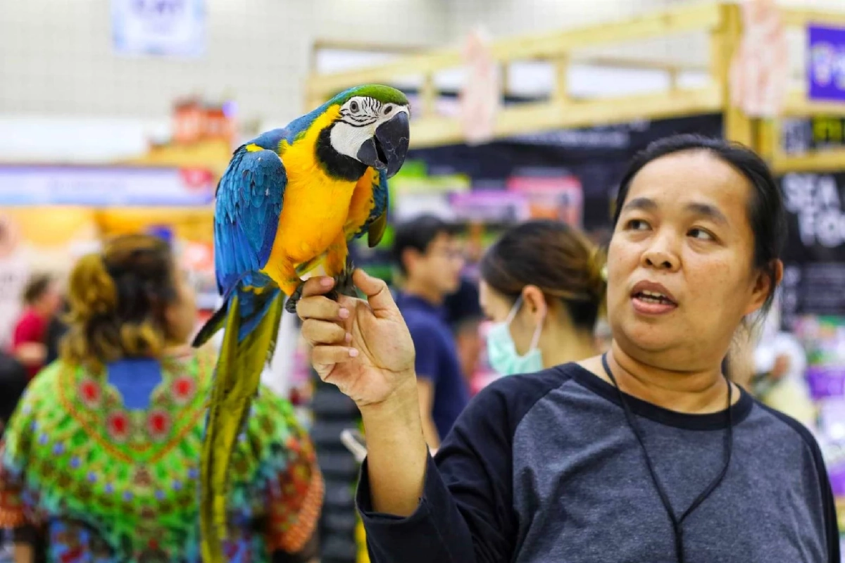อิมแพ็ค เอาใจคนรักสัตว์ ลัดฟ้าจัดงานสัตว์เลี้ยงสุดยิ่งใหญ่ 