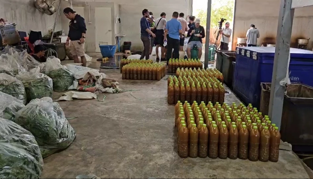 ดส.บุกทลายโรงงานลักลอบต้มน้ำกระท่อม