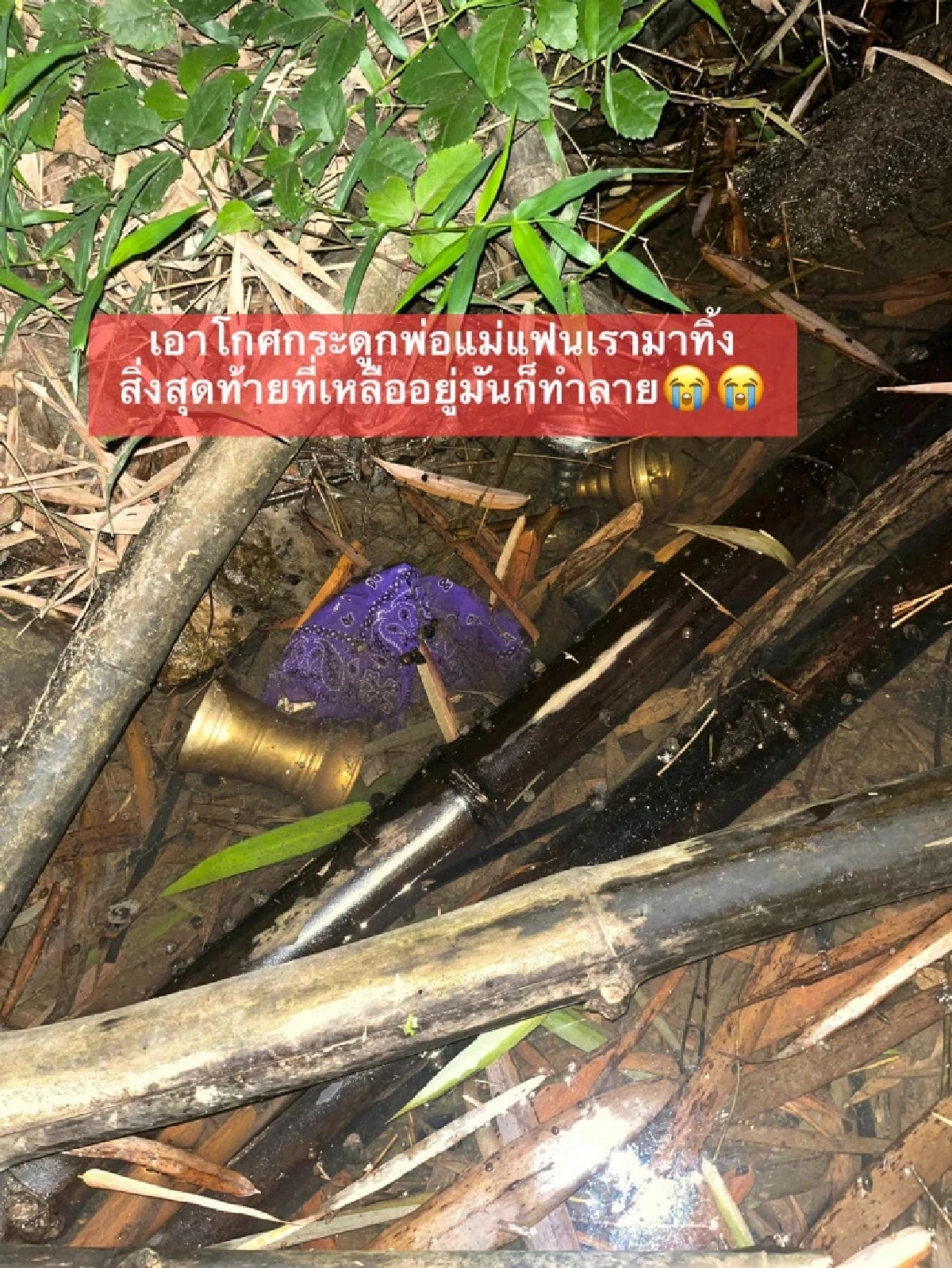 เพื่อนบ้านคลั่ง