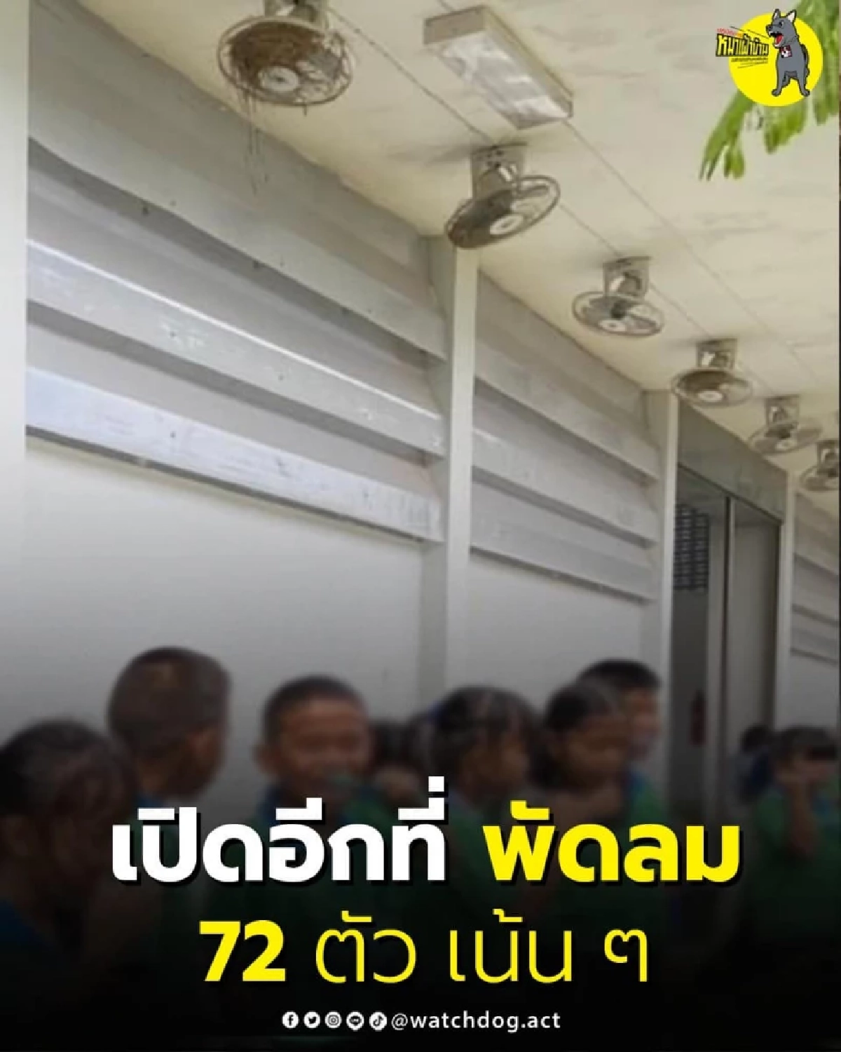 ขอบคุณภาพจากเพจปฏิบัติการหมาเฝ้าบ้าน 