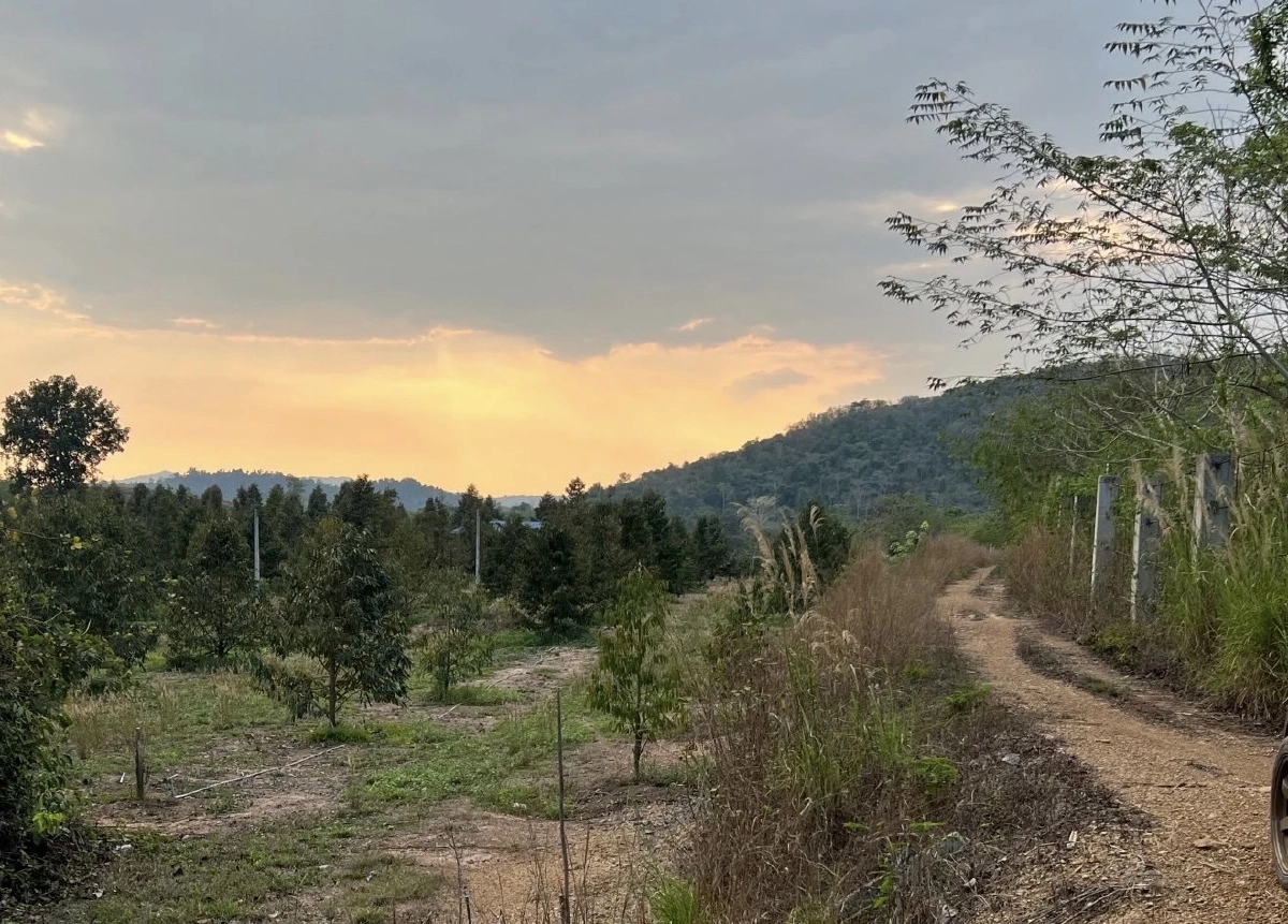 ก.ต.ช. เสนอแก้ปัญหาช้างป่ารอยต่อระยอง-จันทบุรี ดูแลคน ดูแลช้างป่า