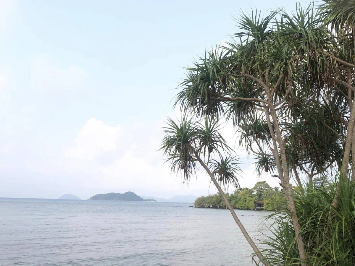 ขายเกาะ
