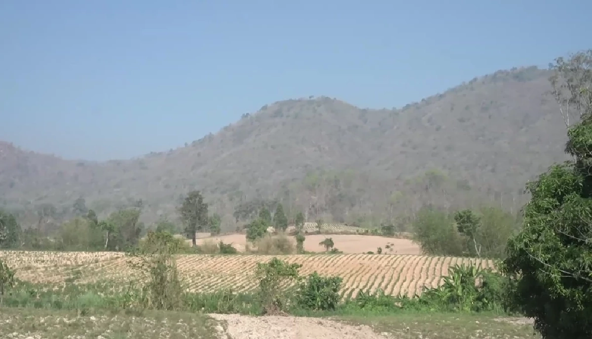 ตาวัย 73 เข้าป่าหาผักหวาน หายตัวนาน 16 วัน 