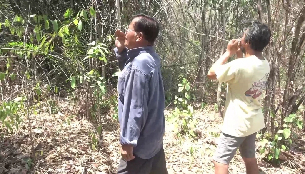 เพื่อนบ้าน ตาสวอง ช่วยกันตามหาหลังหายตัวนาน 16 วัน 